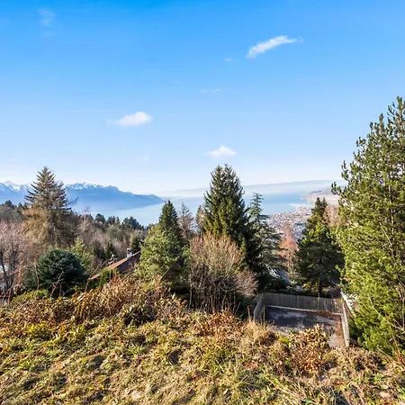 Familial Avec Vue Sur Les Alpes Et Le Lac, Sur Les Hauts De Montreux A Alpehytte Caux sur Montreux