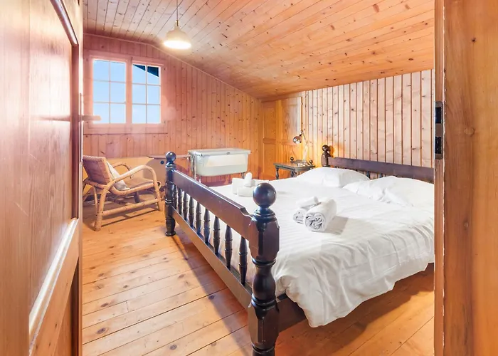 Familial Avec Vue Sur Les Alpes Et Le Lac, Sur Les Hauts De Montreux à