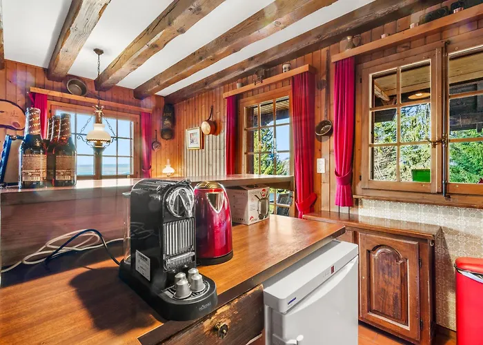 Familial Avec Vue Sur Les Alpes Et Le Lac, Sur Les Hauts De Montreux A